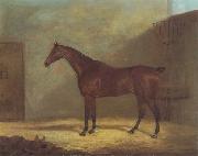 John Boultbee A Chestnut Hunter With A Groom By a Building Spain oil painting artist